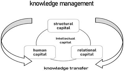 Closing the academy–Business gap by building intellectual capital in professional formation